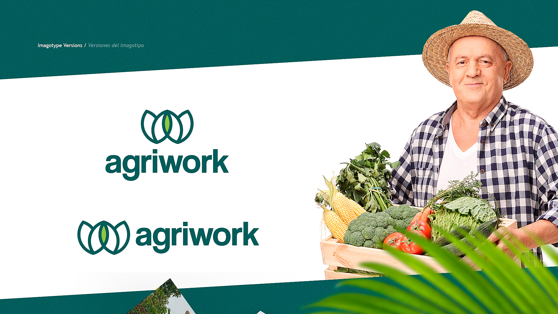 Agriwork brand identity project