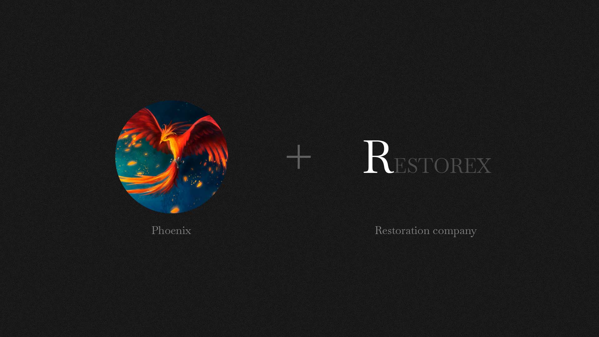 Restorex brand redesign project