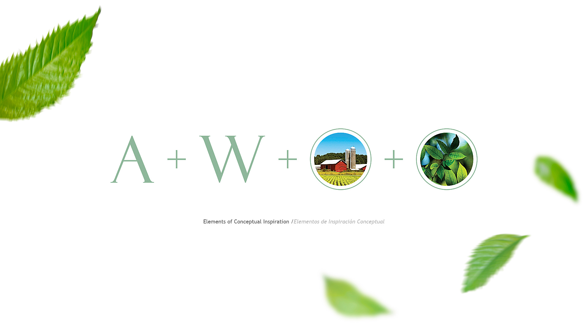 Agriwork brand identity project